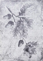 Rousseau - Vallier 1961, 038.jpg