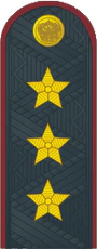 Генерал полковник ФСИН №.png