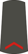01-Serbian Army-PVT.svg