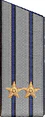 погоны 1956