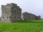 Castlederg Castle - geograph.org.uk - 371758.jpg