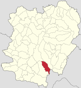 Eftimie Murgu jud Caras-Severin.svg