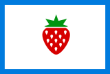 Флаг
