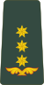 Georgia-Army-OF-5.svg