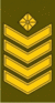 LT-Army-OR8.gif