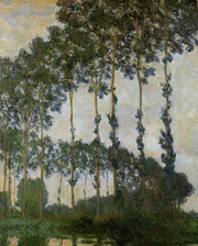 Monet Poplars-at-giverny MOA W1291.jpg