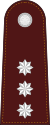 RTP OF-2 (Police Captain).svg