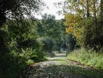 Schorfheide.jpg