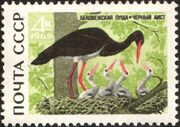 The Soviet Union 1969 CPA 3794 stamp (Black Stork).jpg