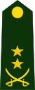 Lieutenant Colonel