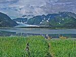 Pederson Lagoon and Glacier.jpg