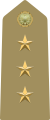 Rank insignia of capitano of the Army of Italy (1973).svg