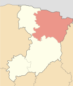 Sarny Raion 2020.svg