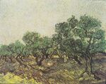 Van Gogh - Olivenpflücker2.jpeg