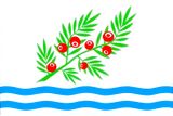 Флаг
