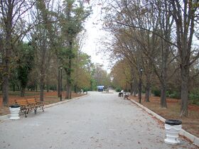 Сакський парк, м. Саки, автономна республіка Крим.jpg