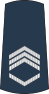 06-Serbian Air Force-SSFC.svg