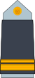 08. AAF-2LT.svg