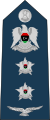 11.Libyan Air Force-COL.svg
