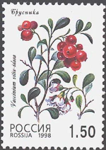 1998. Марка России 0450 hi.jpg