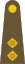 Лейтенант