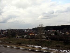 Dārziņi.jpg