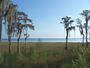 FL Lake Louisa SP west01.jpg