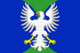 Flag of Kotkozerskoe (Karelia).png