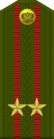 Russia-Army-OF-4-1994-field.svg