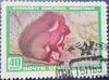 The Soviet Union 1959 CPA 2327 stamp (Red squirrel) (Red squirrel fake) cancelled.jpg