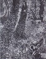 Van Gogh - Bäume mit Efeu im Garten des Hospitals Saint-Paul.jpeg