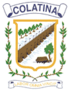 BrazaoColatinaES.png