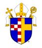 Dieceze Ostravsko Opavska CoA.jpg