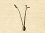 Ehret-Methodus Plantarum Sexualis-A.jpg