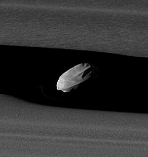 PIA21056cropsharpen.jpg