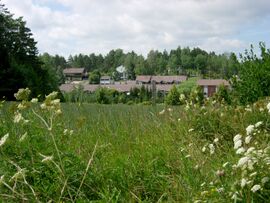 Pulpettikuja.jpg