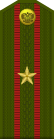 Russia-Army-OF-3-1994-field.svg