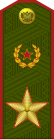 Russia-Army-OF-9-1994-field.svg