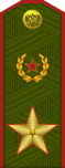 Russia-Army-OF-9-1994-field.svg