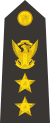 Captain (naval)