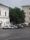 Шелковица Сковороды