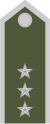 Army-SVK-OR-09a.svg