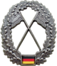 BW Barettabzeichen Heeresaufklärungstruppe.png