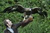 BillyandGoldenEagle.jpg