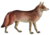 Dogs jackals wolves and foxes Plate V C. l. rufus mod.png