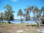 Lake Manatee SP lake01.JPG