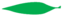 Leaf morphology lanceolate.png
