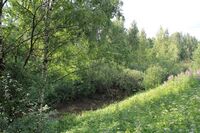 Left Tributary of Ochakovka River Valley in Troparyovo 05.jpg