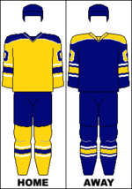 Storhamar Dragons jersey.png