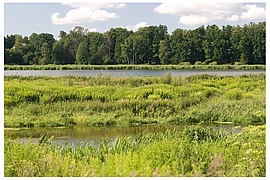 Горизонт — открытый или скрытый, «открытие» и «закрытие» ландшафта.